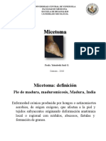 micetomas-170327163720 (1)-convertido.pptx