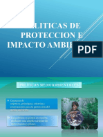 POLITICAS DE PROTECCION E IMPACTO AMBIENTAL