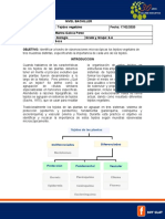 Tejidos Vegetales Biologia