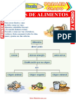 Clases de Alimentos para Primer Grado de Primaria