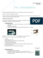 Articuladores Dentales