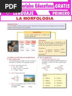 Estudio de La Morfología para Primer Grado de Secundaria PDF
