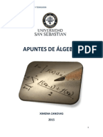 APUNTES DE ALGEBRA Final 1 PDF