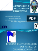 proyectos-cap-10.pdf