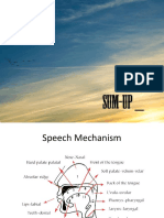 Summary Speech Mechanism and The Sounds in English