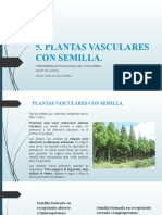 5. PLANTAS VASCULARES CON SEMILLA