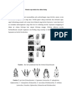 Metode Reproduksi Dan Siklus Hidup Echinodermata, Cirripedia, Chordata