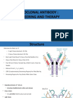 Monoclonal Antibody: Engineering and Therapy