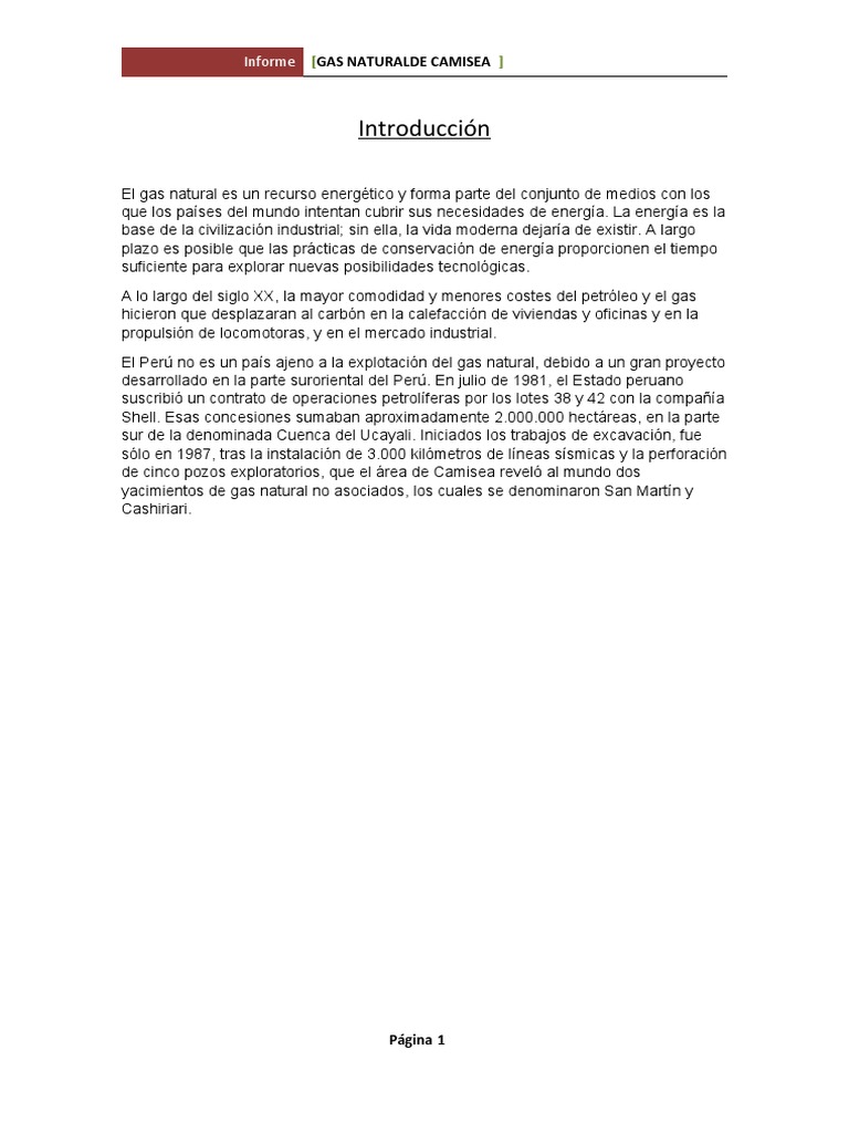Composición del Gas Natural de Camisea | PDF | Gas natural | Hidrocarburos