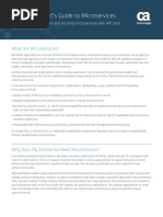 An Api Architects Guide To Microservices Solution Brief