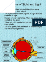 Our Sense of Sight and Light