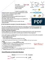 Lecture 8 Second Gluconeogenesis PDF