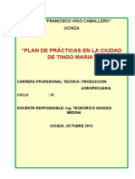 Plan de Practica A La Ciudad de Tingo Maria