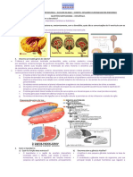 ATIVIDADE DIENCEFALO_FINAL.pdf