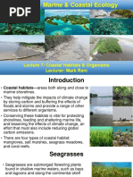 BIO3119-Marine & Coastal Ecology: Lecture 7: Coastal Habitats & Organisms Lecturer: Mark Ram