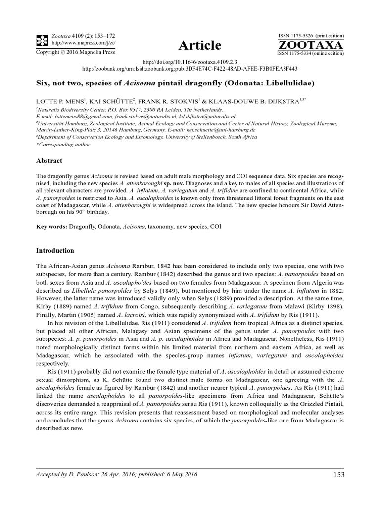 Six Not Two Species Of Acisoma Pintail Dragonfly Primer Molecular Biology Polymerase Chain Reaction