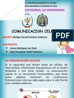 COMUNICACIÓN CELULAR