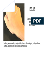 PA13.pdf