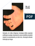 Pa43 PDF