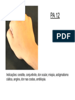 PA12.pdf