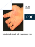 PA36.pdf