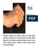 Pa45 PDF