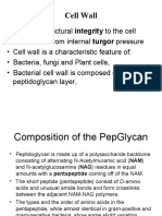 Bacterial Cell Wall-2 Class