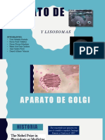 Aparato de Golgi Nuevo-1