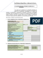 Pautas para elaborar Informe de Cierre Procompite (24-02-2014)_4