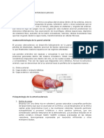 Fisiopatologia de La Arterioesclerosis