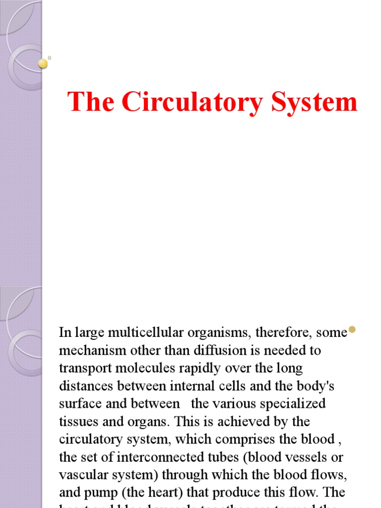 Overview of the Human Circulatory System | PDF | Blood Pressure ...