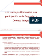 Consejos Comunales y Seguridad y Defensa