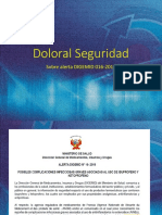 Doloral Seguridad fondo 2(1)