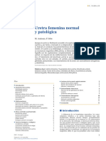 Anatomia Normal y Patologica Uretra Femenina