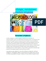 Microbiolo