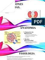 Exposicion Infecciones Urinarias