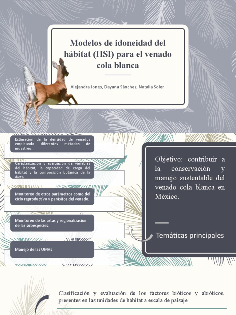 Modelos HSI para Venado Cola Blanca | PDF | Habitat | Paisaje