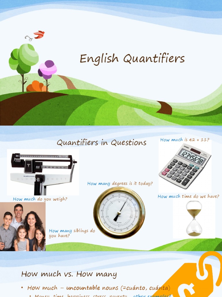 English Quantifiersalotsomealittleafewnotmuchetc | PDF | Noun ...