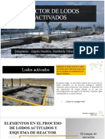 Reactor de Lodos Activados