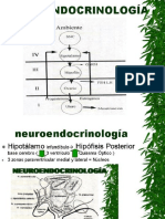 neuroendocrinologia2