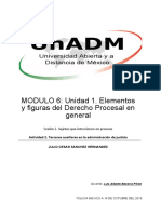 MODULO 6: Unidad 1. Elementos y Figuras Del Derecho Procesal en General