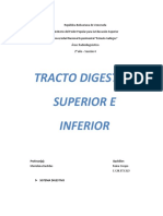 Tracto Digestivo Superior e Inferior Clase