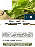 Plantas Medicinales Precauciones para Su Consumo