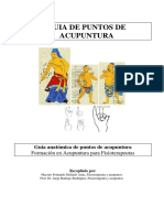 Guia Anatómica PUNTOS DE ACUPUNTURA