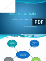 Tema V Teoria de La Demanda