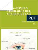 ANATOMIA Y FISIOLOGIA DEL GLOBO OCULAR diapositivas 2015-l.ppt