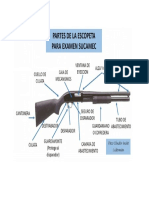 Partes de Una Escopeta