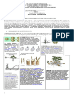 NIVELACION BIOLOGIA Octavo