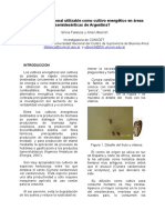 cynodon 3.pdf