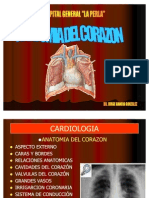 CARDIOLOGIA Anatomia